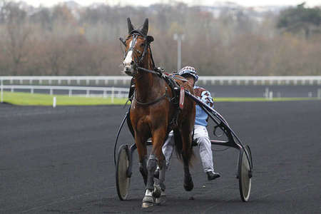 Actualités Hippiques